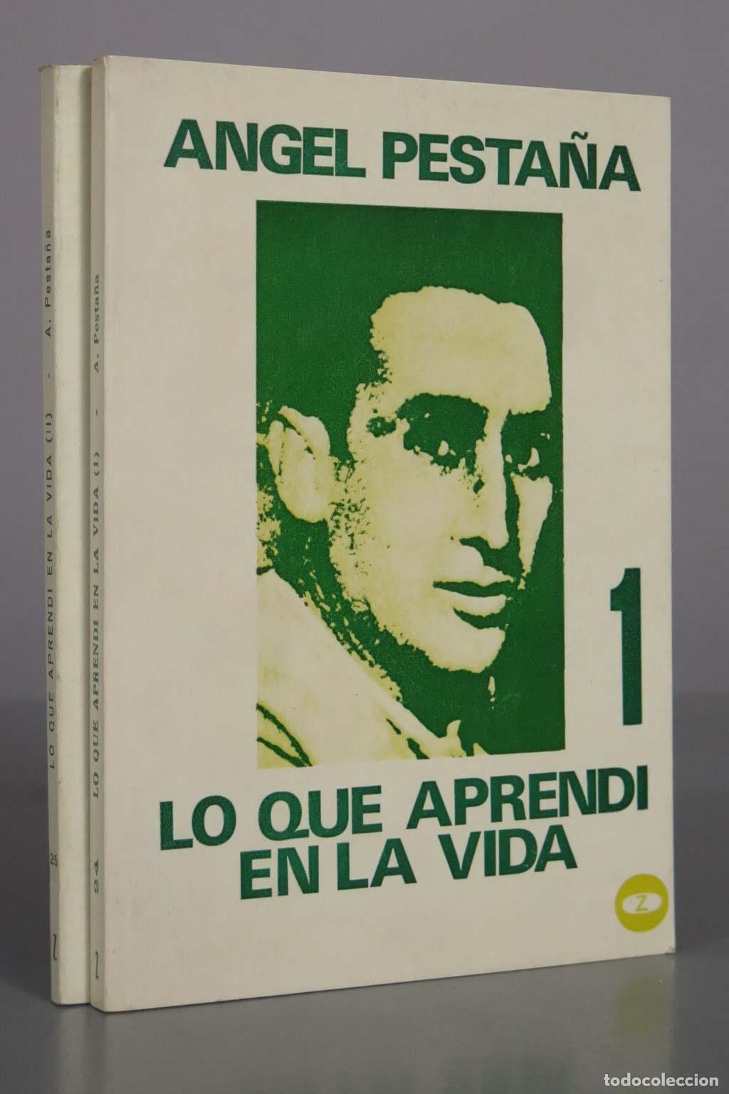 Libros de segunda mano: Lo que aprend&iacute; en la vida - &Aacute;ngel Pesta&ntilde;a - Zero. 2 TOMOS