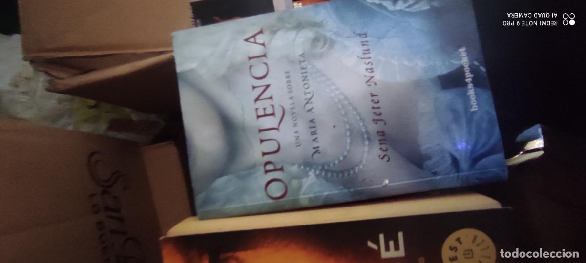 Libros de segunda mano: Opulencia. Una novela de Mar&iacute;a Antonieta. Sena Jeter Naslund. Umbriel Editores 2.008