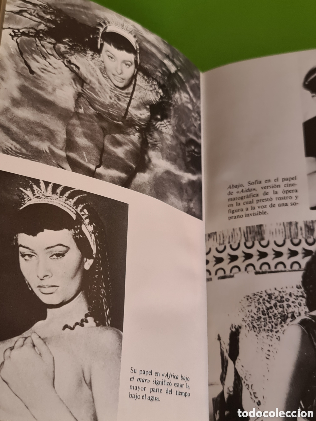 Libros de segunda mano: Libro Sophia Loren / Sofia VIVIR Y AMAR. - Foto 8