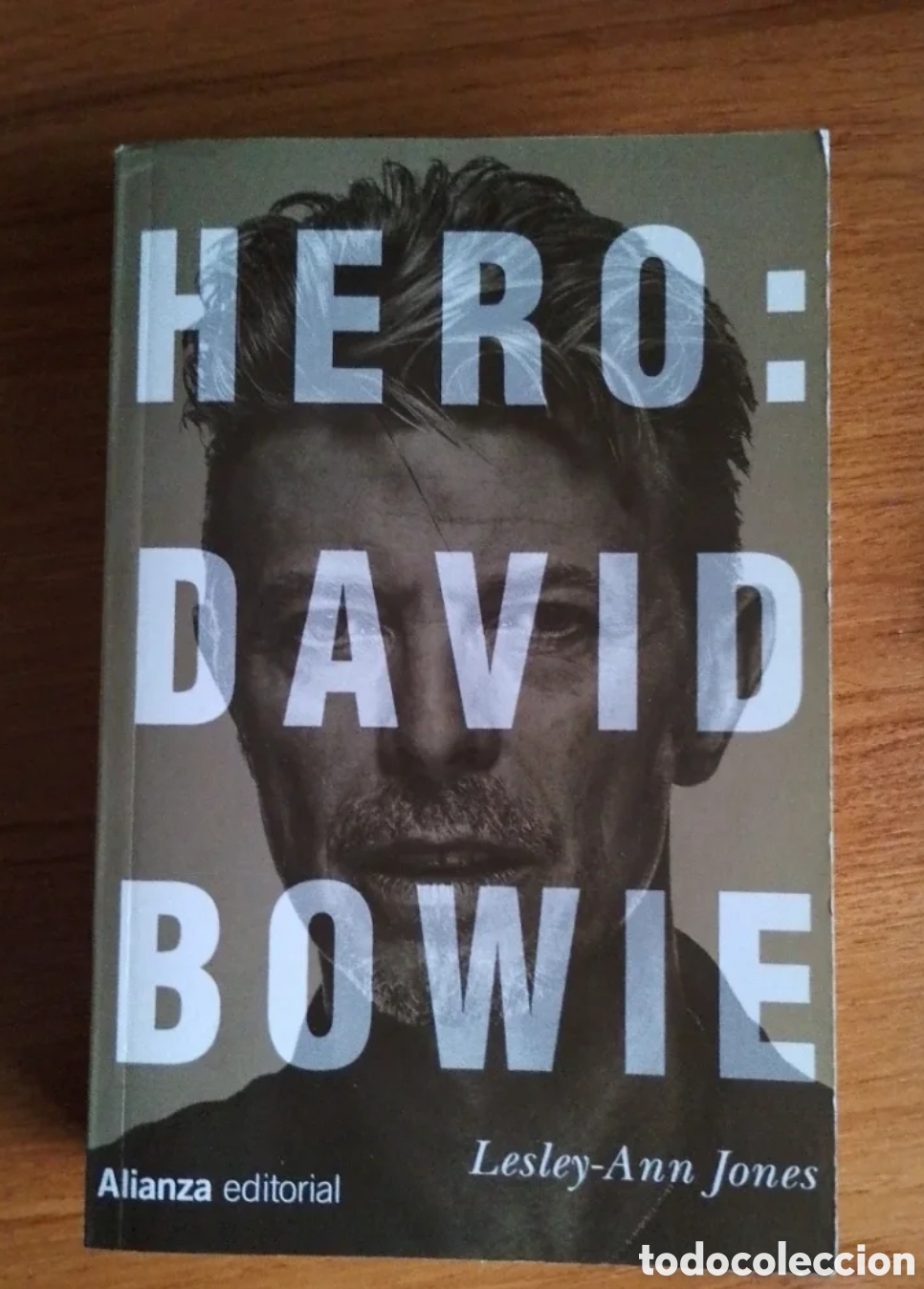 Libros de segunda mano: Hero : David Bowie. Lesley-Ann Jones