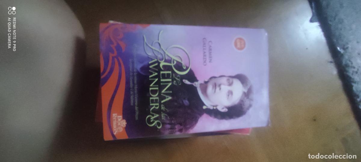 Libros de segunda mano: La Reina de las lavanderas -Carmen Gallardo- reina Mar&iacute;a Victoria dal Pozzo - tdk419 -