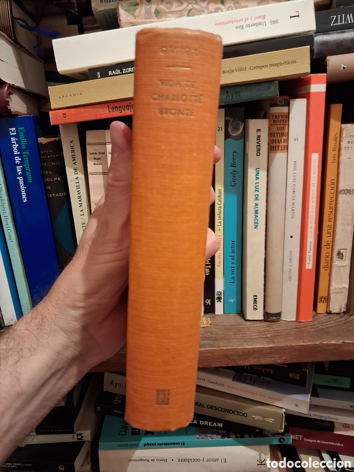 Libros de segunda mano: Vida de Charlotte Bronte, Elizabeth Gaskell - Foto 1
