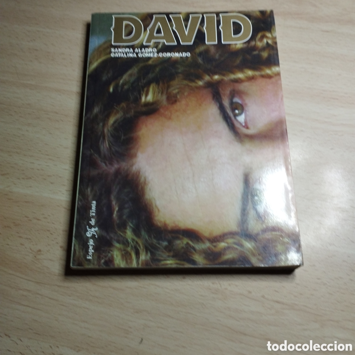 Libros de segunda mano: David Bisbal. Incre&iacute;ble. Sandra Aladro. Catalina G&oacute;mez - Coronado. 2004. Espejo de tinta 1&ordf; Edici&oacute;n