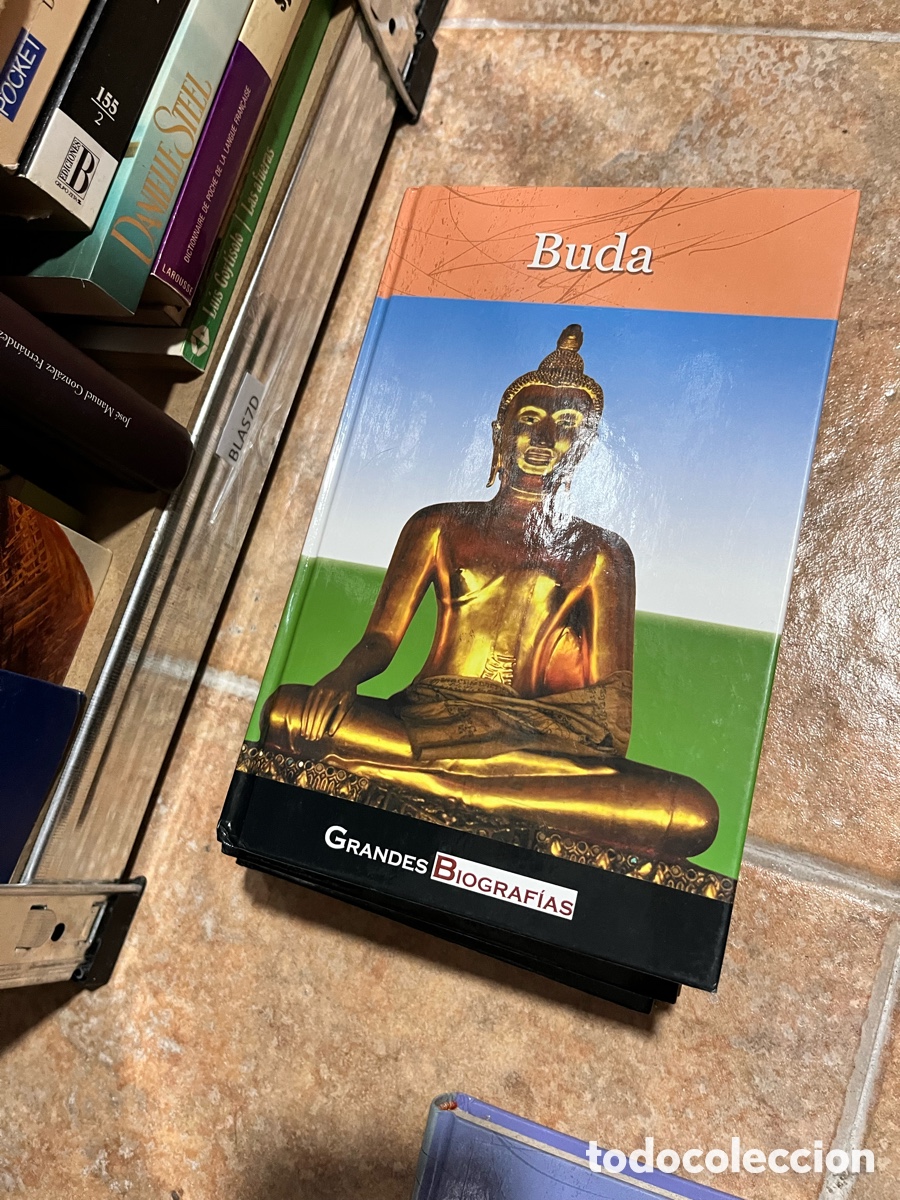 Libros de segunda mano: BLAS7D grandes biograf&iacute;as ; Buda