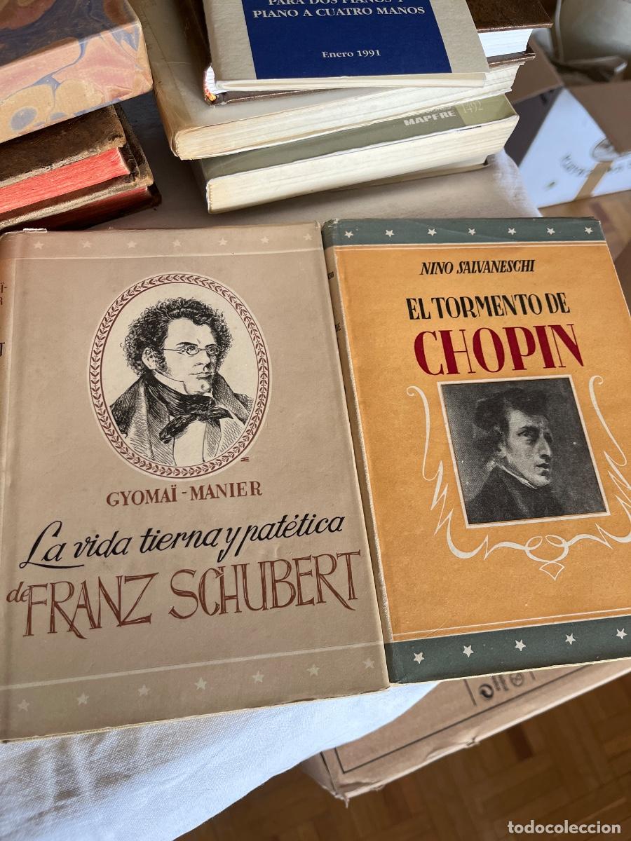 Libros de segunda mano: Biograf&iacute;as noveladas de Chopin y Schubert: El tormento de Chopin; Vida tierna y pat&eacute;tica de Schubert