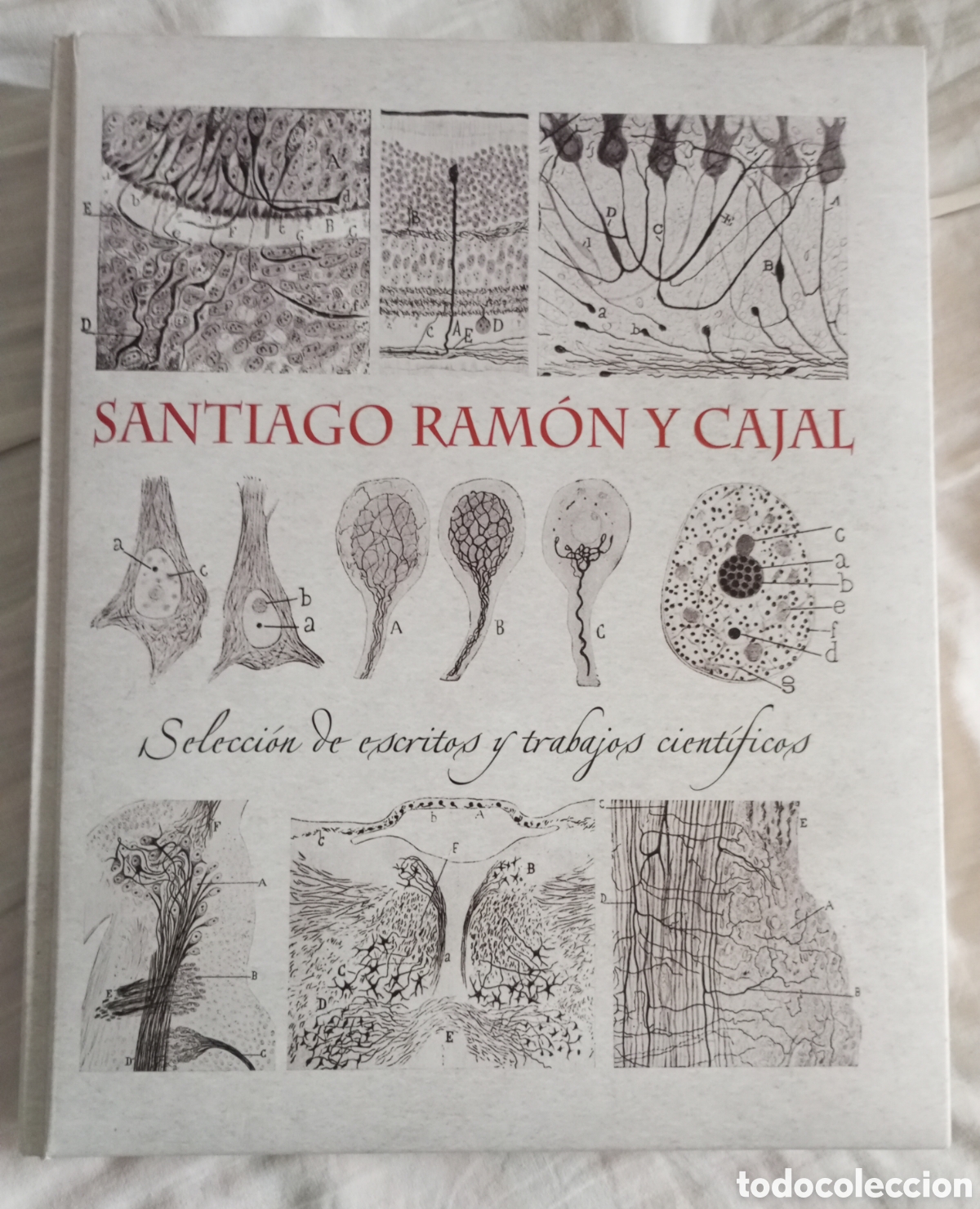 Libros de segunda mano: Santiago Ram&oacute;n y Cajal seleccion de escritos y trabajos cient&iacute;ficos 2009.226 pp