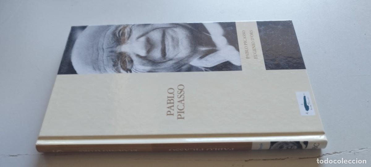 Libros de segunda mano: PABLO PICASSO / EUGENIO D ORS / TXT 102 / FOLIO