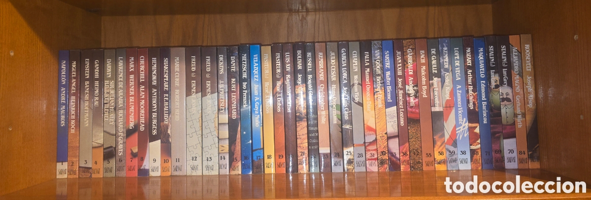 Libros de segunda mano: BIBLIOTECA SALVAT DE GRANDES BIOGRAF&Iacute;AS &mdash; LOTE 41 TOMOS Lote de 41 vol&uacute;menes de la Biblioteca Salvat