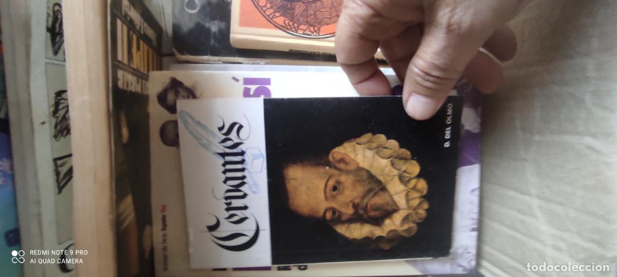 Libros de segunda mano: Biograf&iacute;a de Cervantes