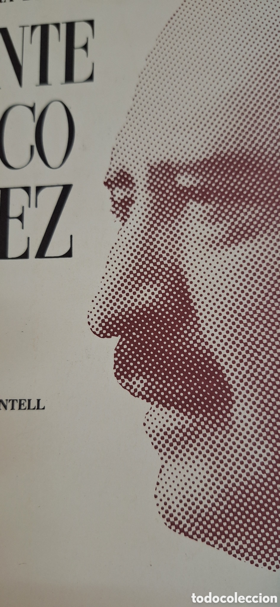 Libros de segunda mano: Vicente Blasco Iba&ntilde;ez