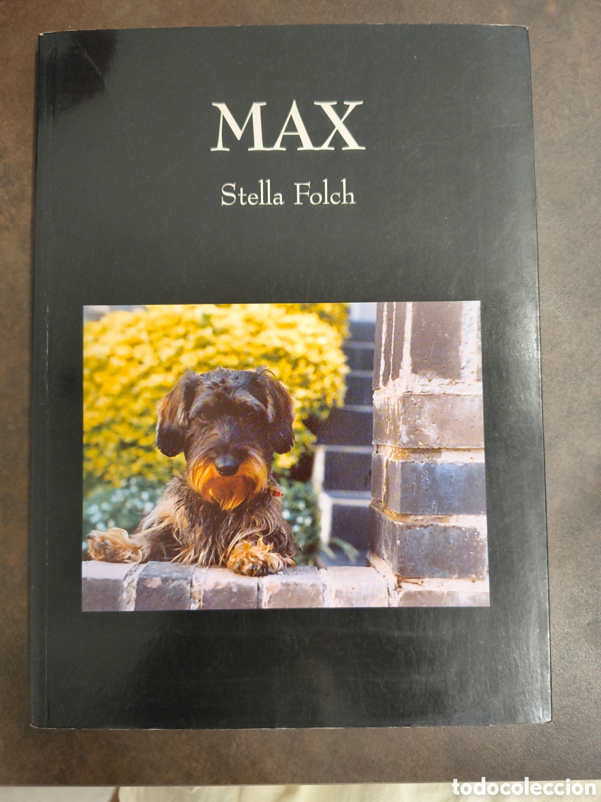 Libros de segunda mano: MAX DE STELLA FOLCH (PARANGONA)