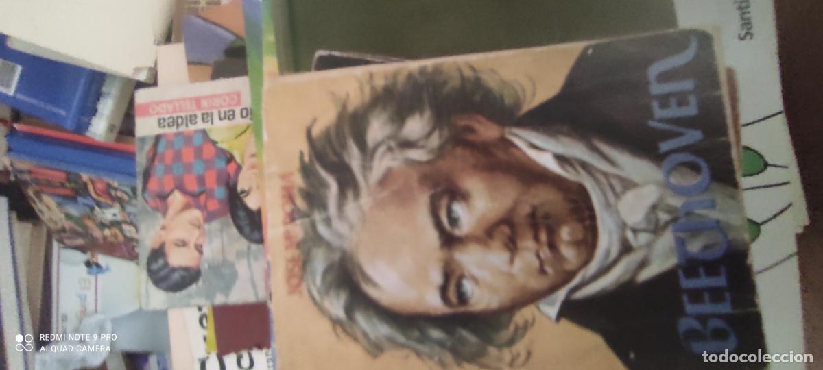 Libros de segunda mano: Minilibro Beethoven..