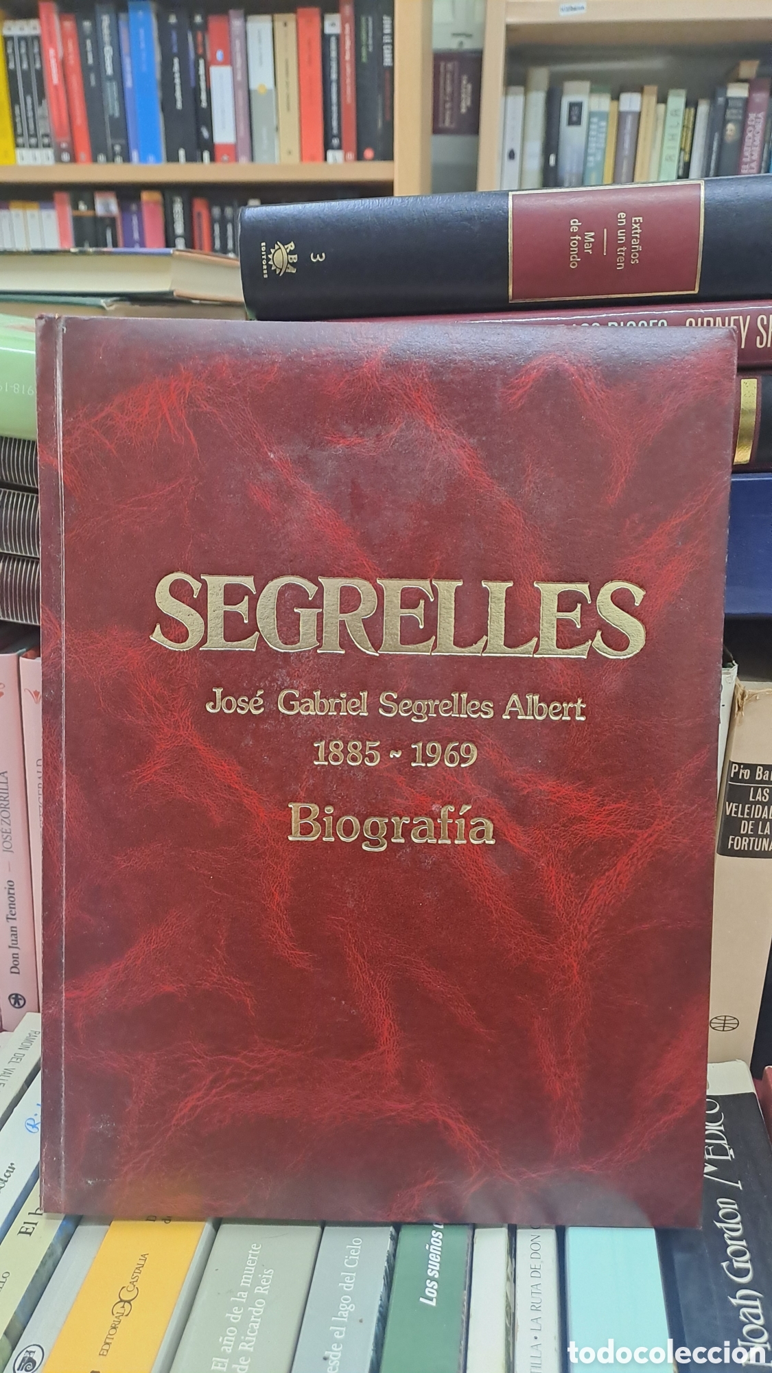 Libros de segunda mano: Segrelles. Jose Gabriel Segrelles Albert. 1885-1969 Biografia