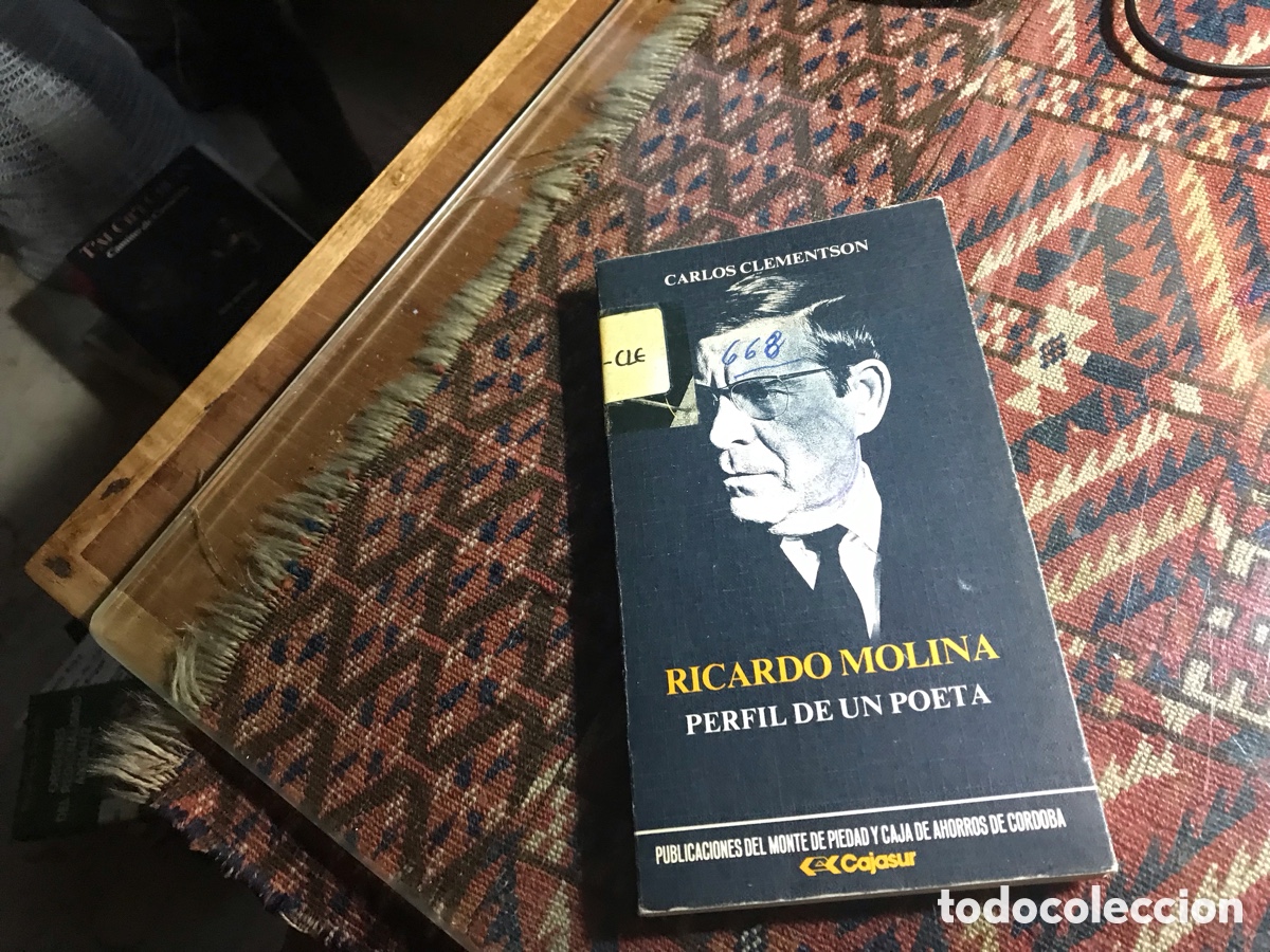 Libros de segunda mano: Ricardo Molina. Perfil de un poeta. Carlos Clementson