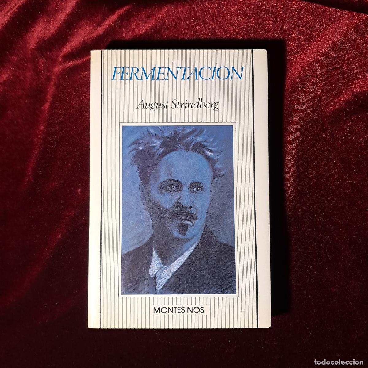 Libros de segunda mano: FERMENTACI&Oacute;N. HISTORIA DE UN ALMA. August Strindberg. Montesinos 1986