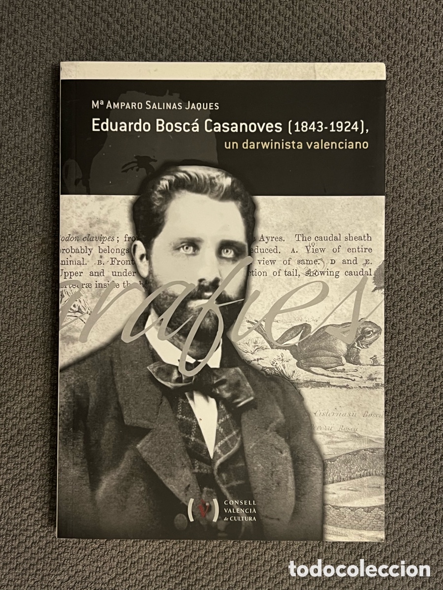 Libros de segunda mano: EDUARDO BOSCA CASANOVES 1843-1924. Un Darwinista Valenciano M. AMPARO SALINAS. ENV&Iacute;O 7&euro;