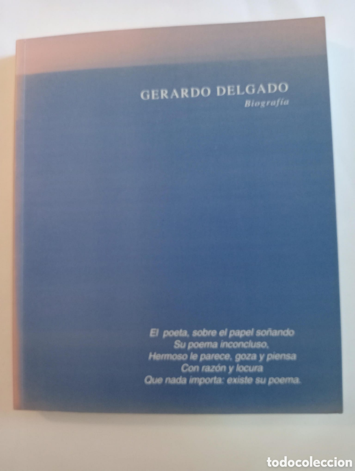 Libros de segunda mano: Gerardo Delgado. Biograf&iacute;a. Junta de Andaluc&iacute;a 1993.