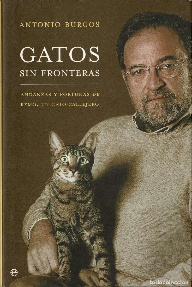 Libros de segunda mano: Gatos sin fronteras. Andanzas y fortunas de Remo, un gato callejero - Antonio Burgos