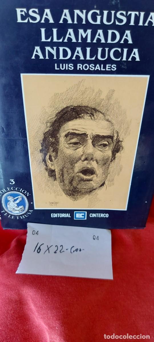 Libros de segunda mano: LIBRO LIBRO LUIS ROSALES ESA ANGUSTIA LLAMADA ANDALUCIA (( PEDIDOS M&Iacute;NIMOS 10 &euro; ) CAJA N.&ordm; 6