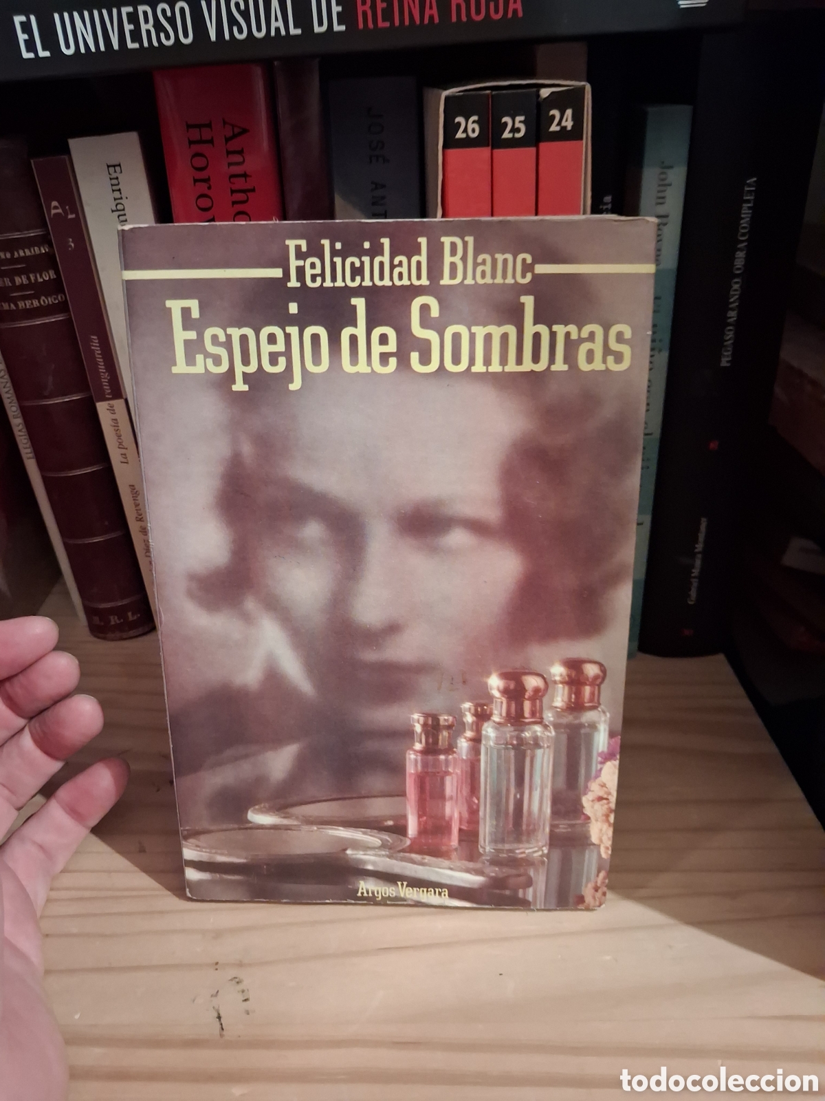 Libros de segunda mano: Tren de sombras, Felicidad Blanc (primera)