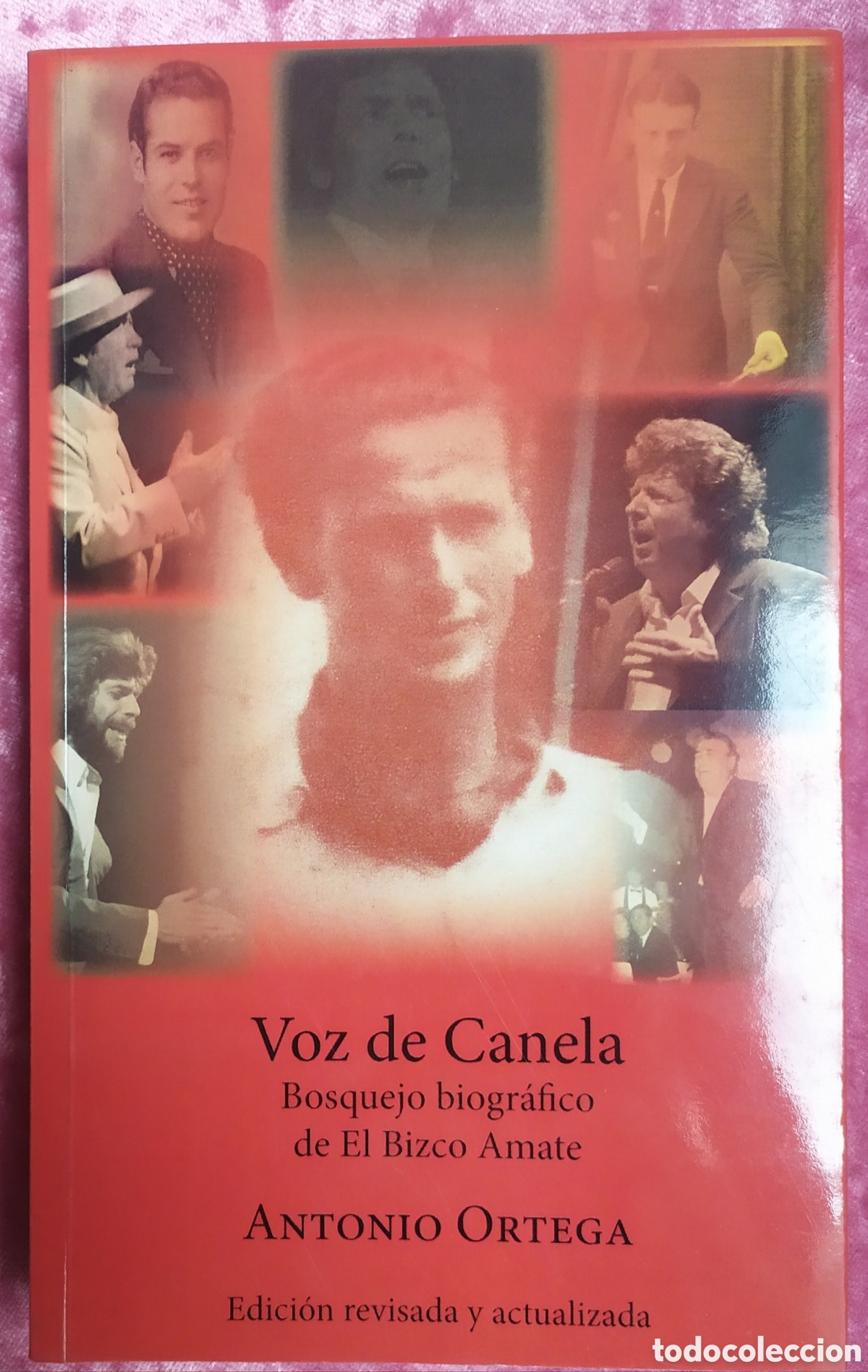 Libros de segunda mano: Voz de canela, Bosquejo biogr&aacute;fico de El Bizco de Amate de Antonio Ortega y publicado por la Univers