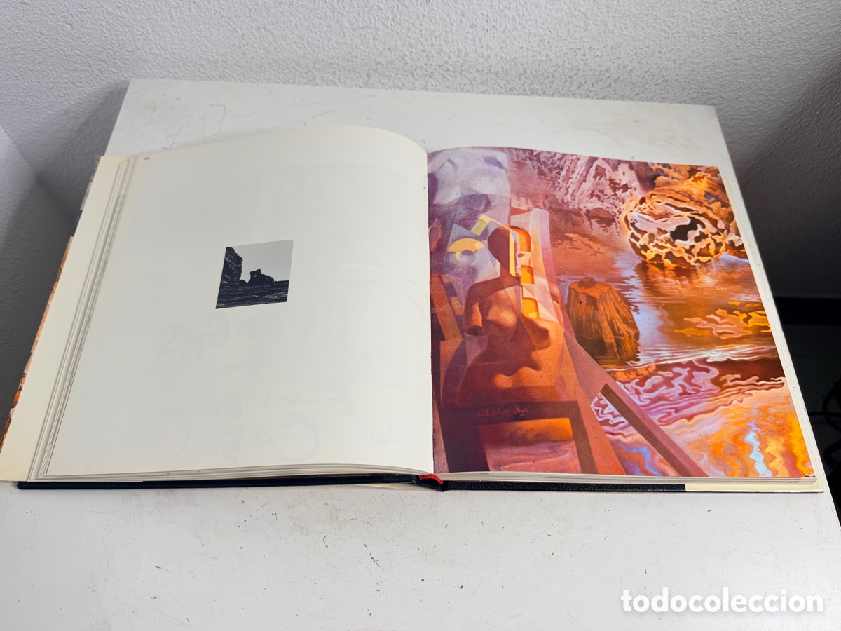 Libros de segunda mano: Libro monograf&iacute;a art&iacute;stica &laquo;Dal&iacute;&raquo; - Foto 8