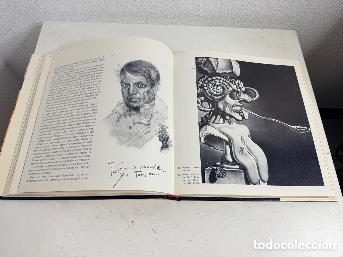 Libros de segunda mano: Libro monograf&iacute;a art&iacute;stica &laquo;Dal&iacute;&raquo; - Foto 9