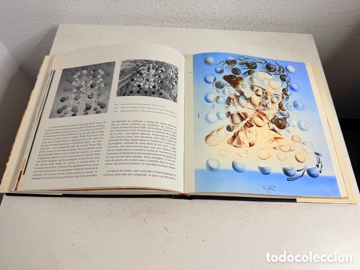 Libros de segunda mano: Libro monograf&iacute;a art&iacute;stica &laquo;Dal&iacute;&raquo; - Foto 10