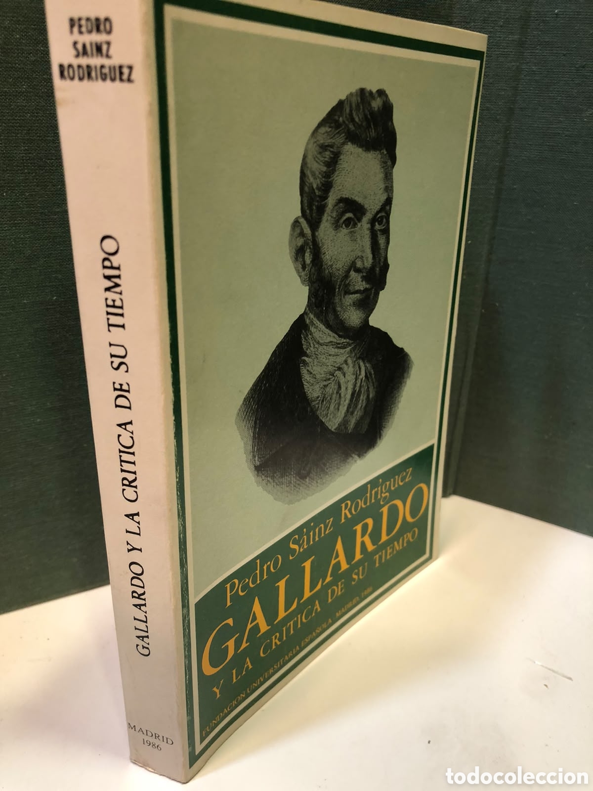 Gebrauchte B&uuml;cher: Gallardo y la cr&iacute;tica de su tiempo - Pedro S&aacute;inz Rodr&iacute;guez