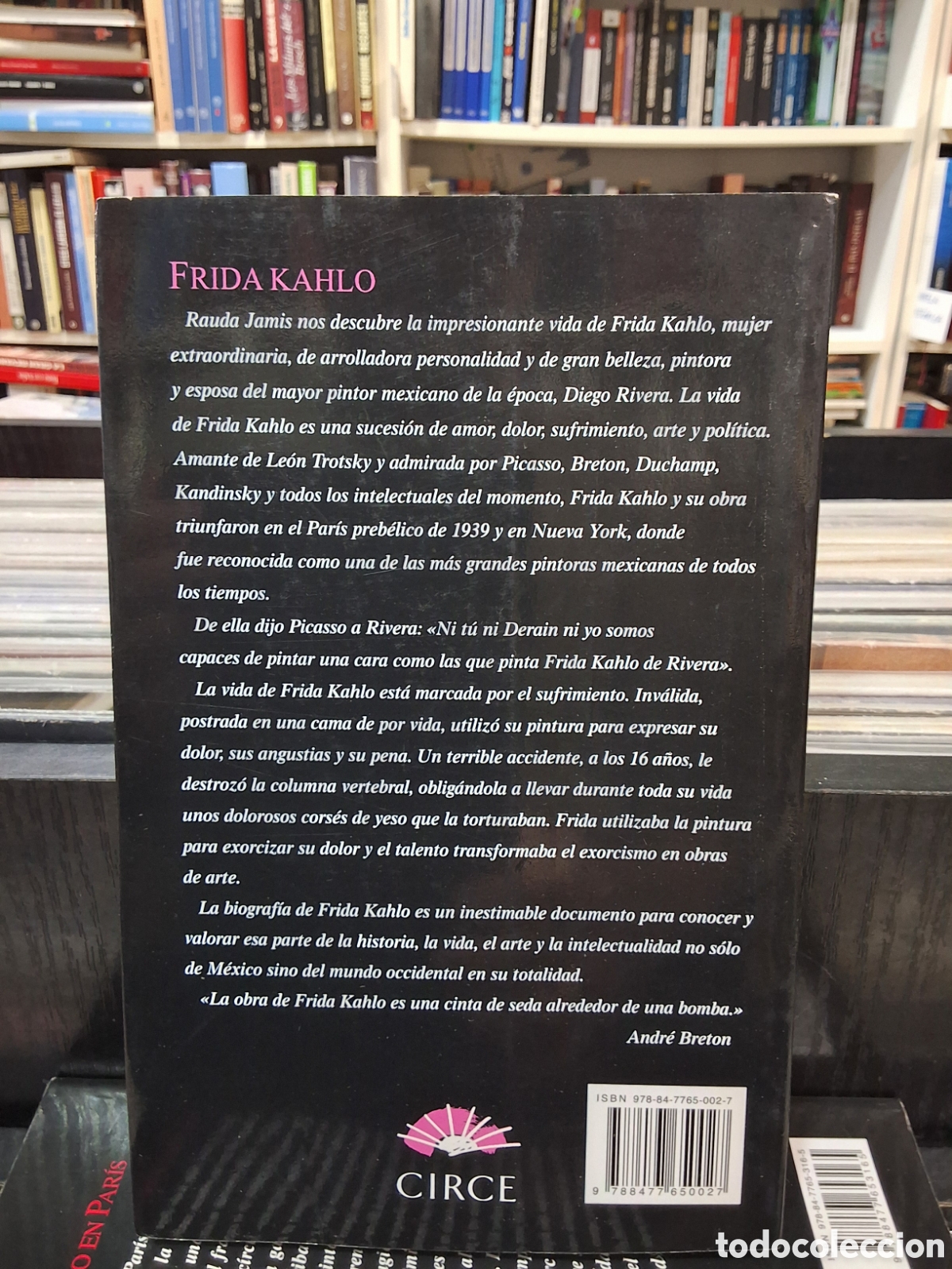 Libros de segunda mano: FRIDA KAHLO - RAUDA JAMIS - Foto 2
