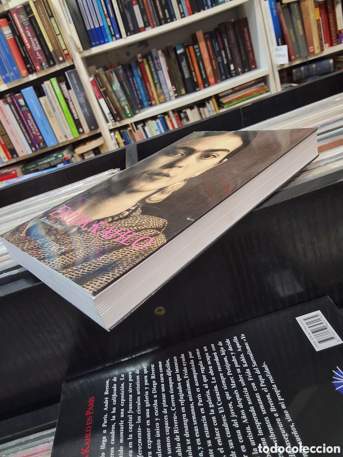 Libros de segunda mano: FRIDA KAHLO - RAUDA JAMIS - Foto 4