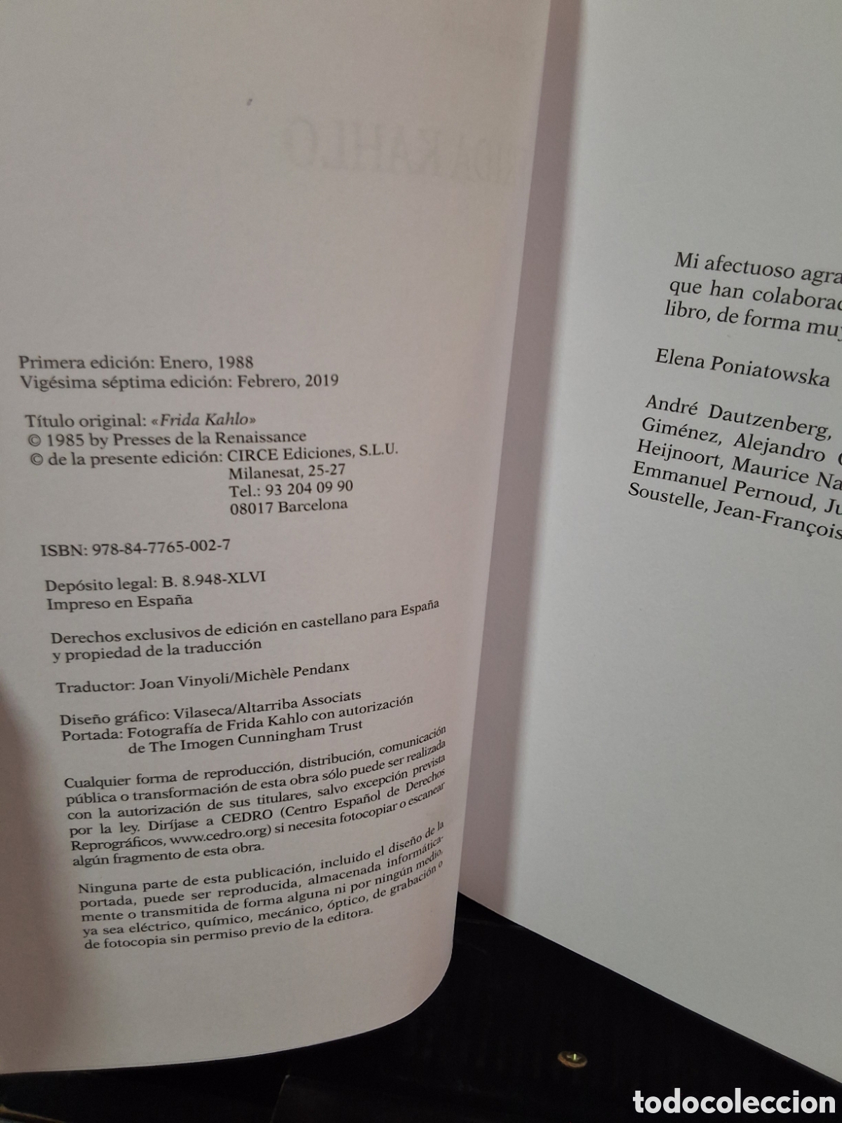 Libros de segunda mano: FRIDA KAHLO - RAUDA JAMIS - Foto 5