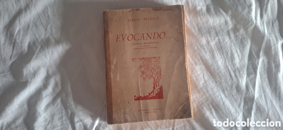 Libros de segunda mano: Mario Petillo. EVOCANDO. 3&deg; edici&oacute;n aumentada y corregida