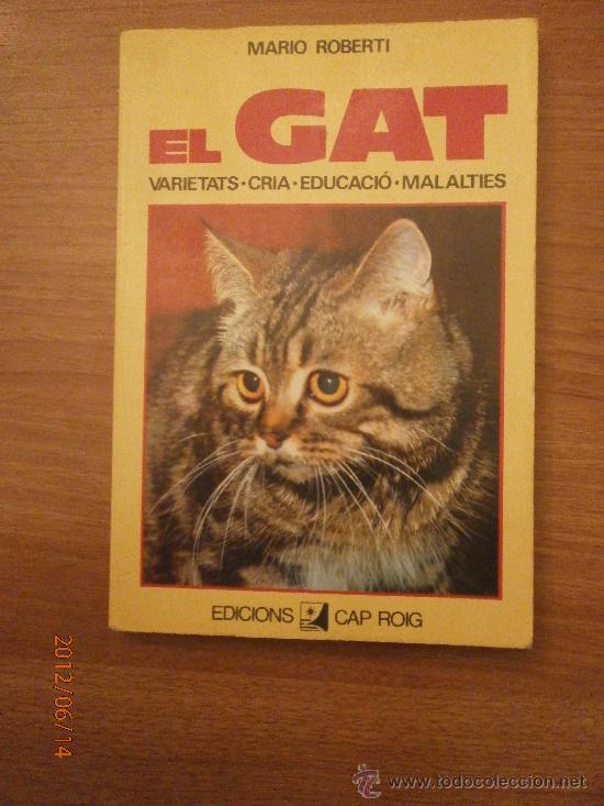 Libros de segunda mano: LIBRO EL GAT - MARIO ROBERTI - VARIETATS- CRIA - EDUCACIO - MALALTIES- EN CATALA - Foto 1
