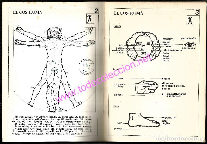 Libros de segunda mano: Interior del libro - Foto 2