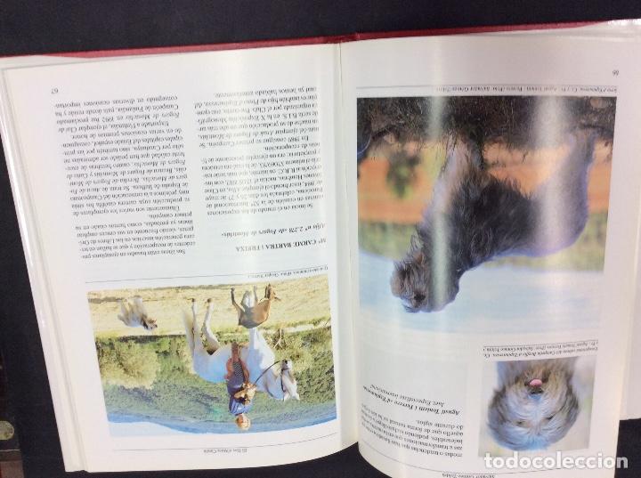 Libros de segunda mano: El gol datura catala - Foto 2