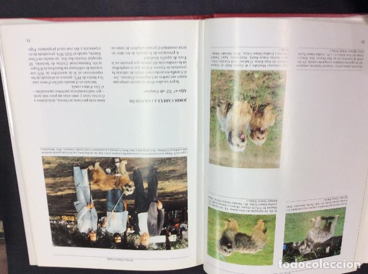 Libros de segunda mano: El gol datura catala - Foto 4