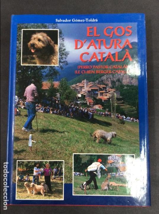 Libros de segunda mano: El gol datura catala - Foto 1
