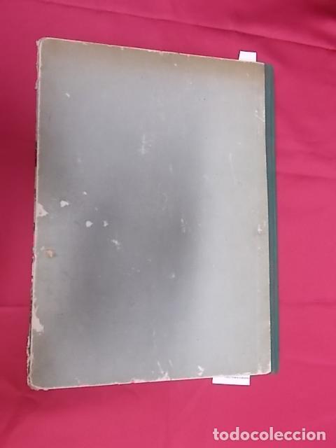 Libros de segunda mano: L&acute;ARCA DE NOE.  DANIEL- ROPS. AYM&Agrave; S.A. EDITORA. EN CATAL&Agrave;. 1 &ordf; EDICI&Oacute; - Foto 7
