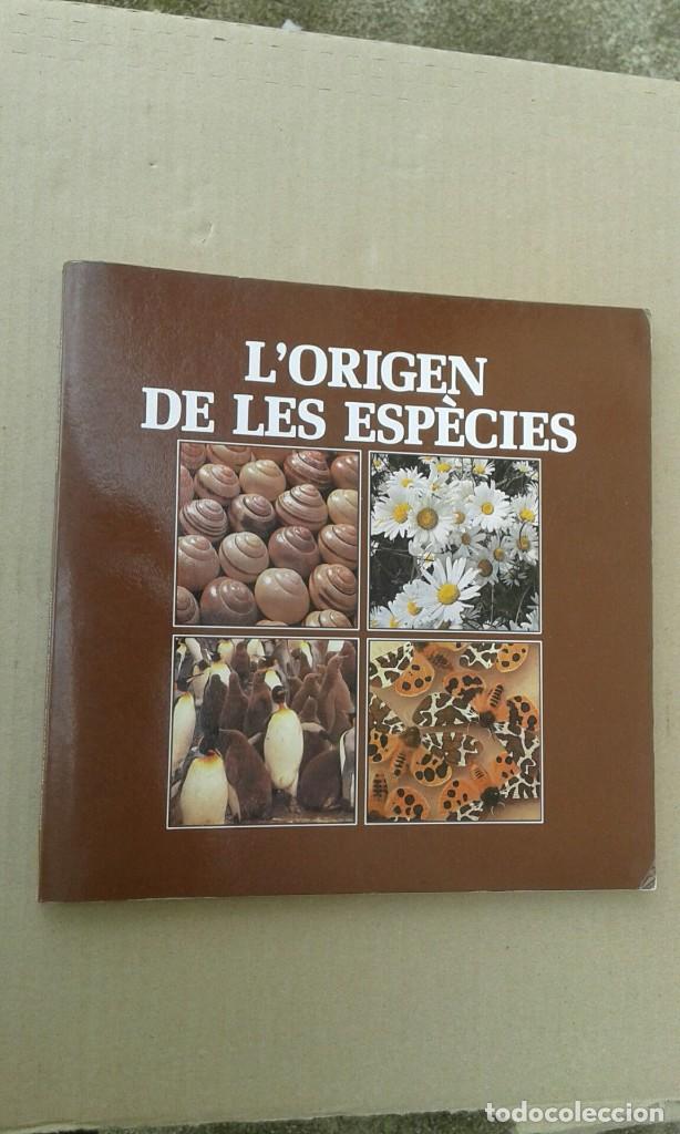 Libros de segunda mano: LORIGEN DE LES ESP&Egrave;CIES. - Foto 1
