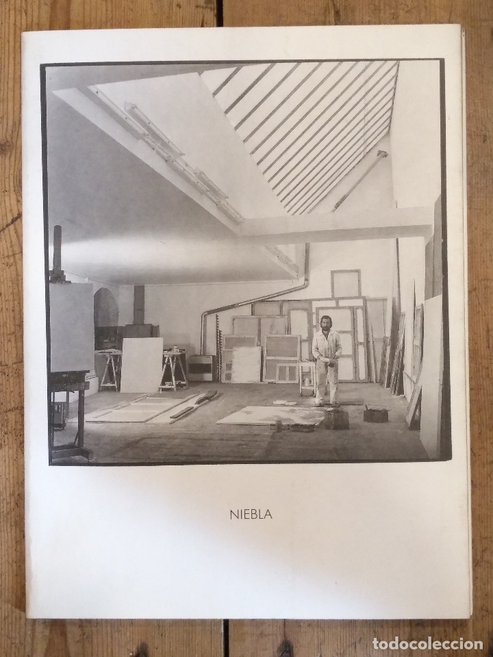 Libros de segunda mano: NIEBLA. - Foto 1