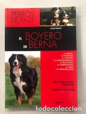 Libros de segunda mano: EL BOYERO DE BERNA - Renaud,Sylvie - Foto 1