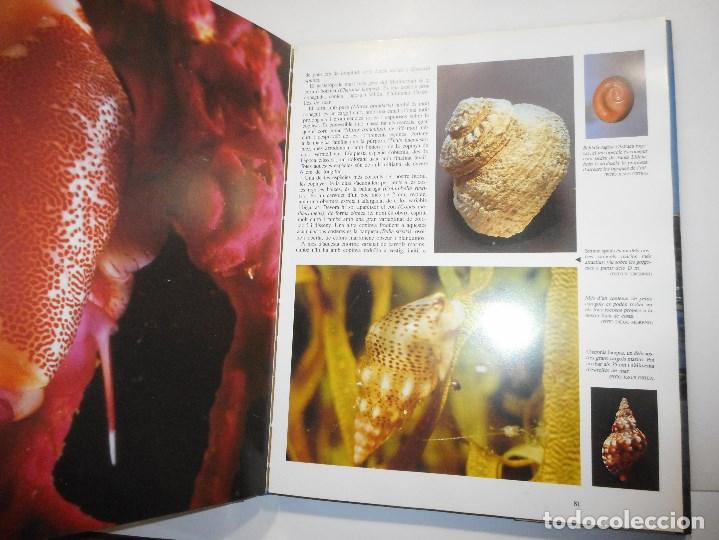 Libros de segunda mano: VV.AA     Mallorca des del mar(En catal&aacute;n)    Y98317T - Foto 2