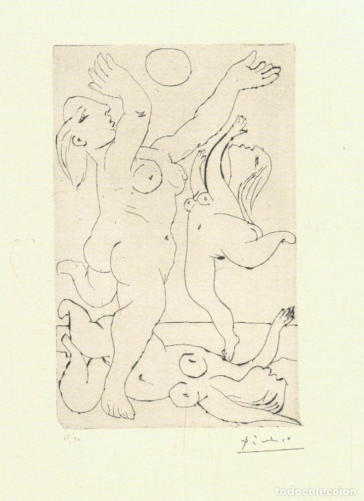 Libros de segunda mano: PICASSO: CAIXA DE REMORDIMENTS - Foto 4