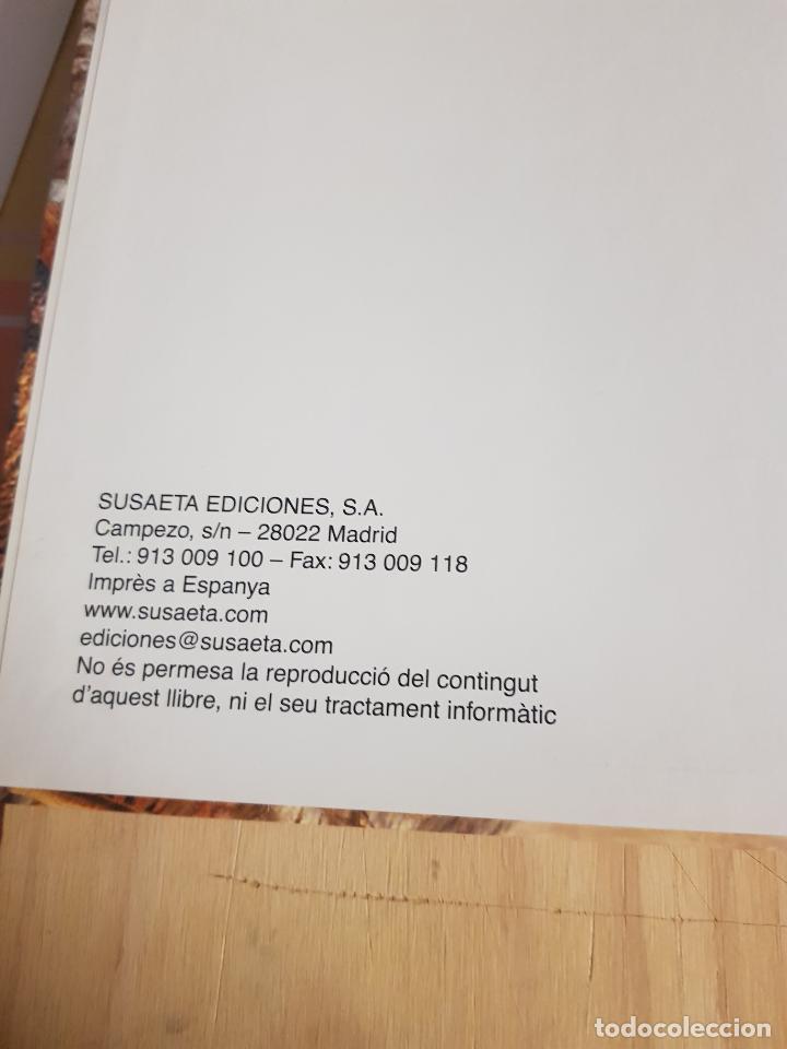 Libros de segunda mano: Busca els dinosaures - Foto 2