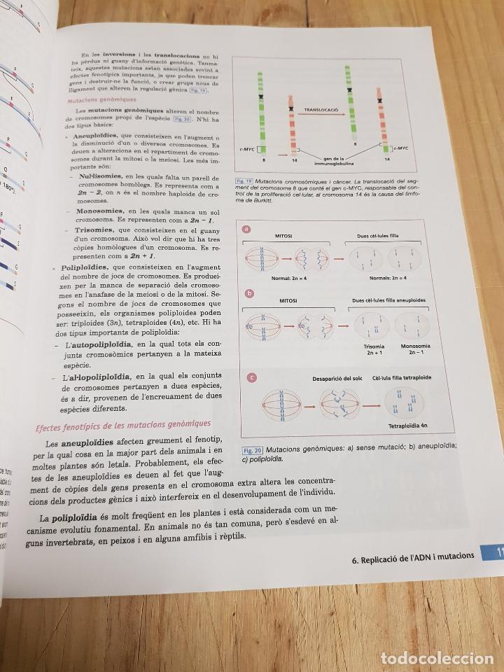 Libros de segunda mano: Biologia 1 - VVAA - Foto 7