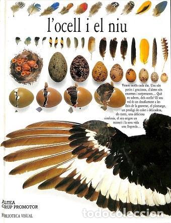 Libros de segunda mano: L&acute;OCELL I EL NIU - David Burnie - Foto 1