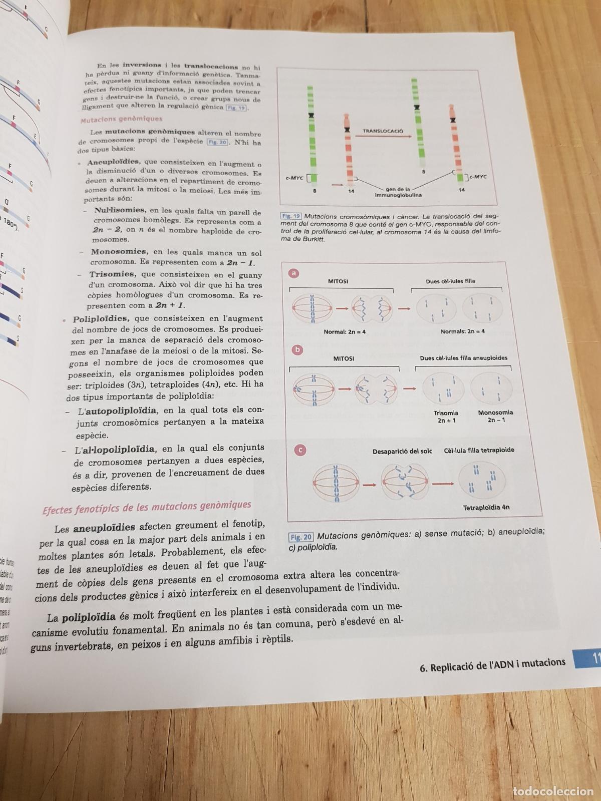 Libros de segunda mano: Biologia 1 - VVAA - Foto 5
