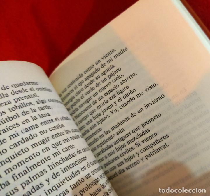Libros de segunda mano: LA CORRESPONDENCIA COMERCIAL EN CATALA&rdquo; - Foto 7