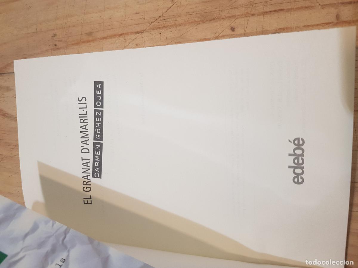 Libros de segunda mano: El granat damaral.lis - Carmen G&oacute;mez Ojea - Foto 5